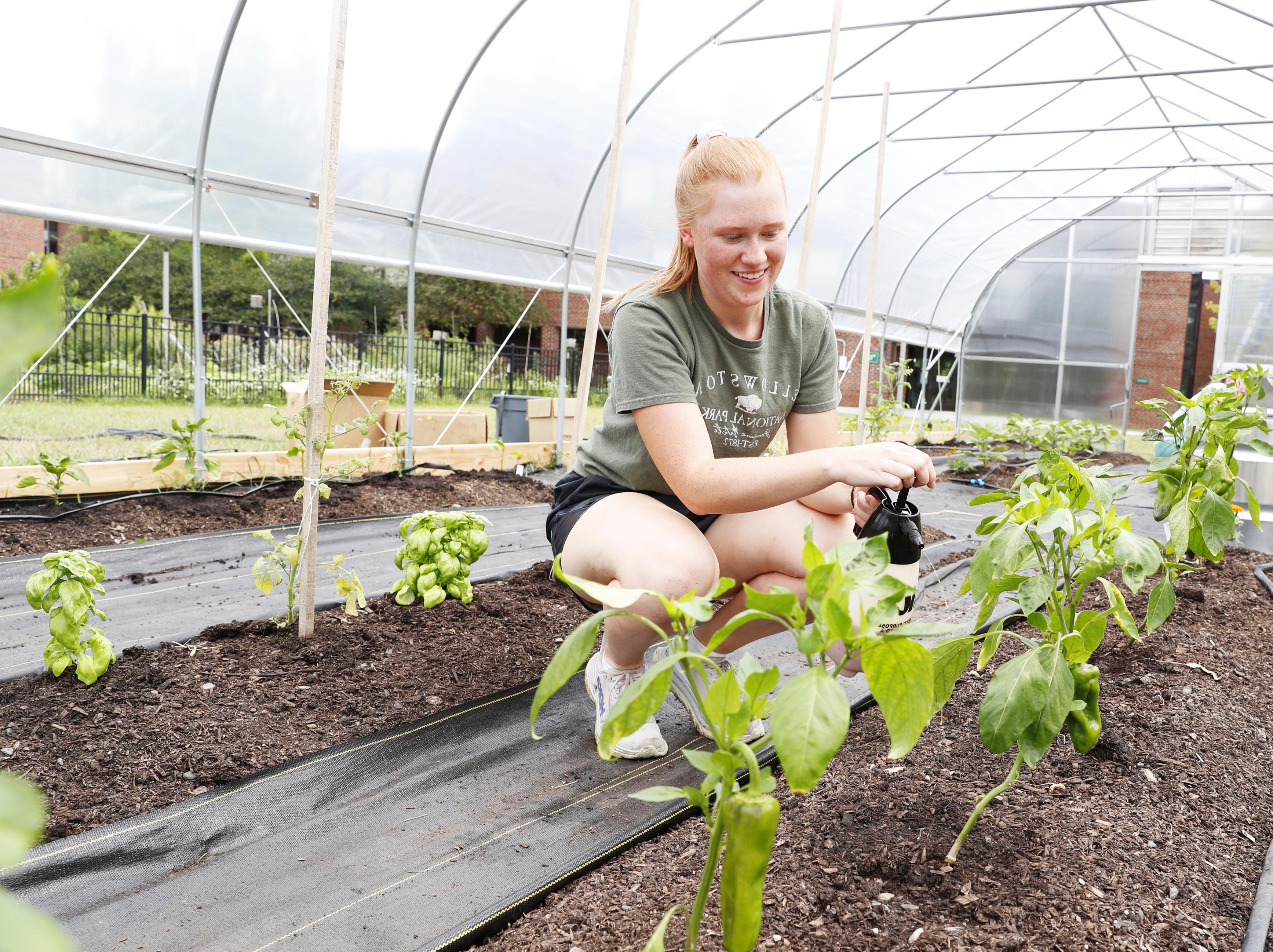 $40,000 to Launch Food Systems Initiative